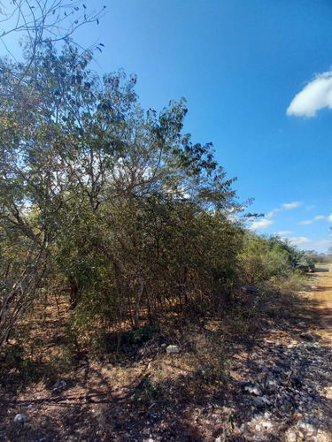 Terreno De 1.20 Ha Ubicado En La Hacienda De Hunxectaman, Umán, Yuc.