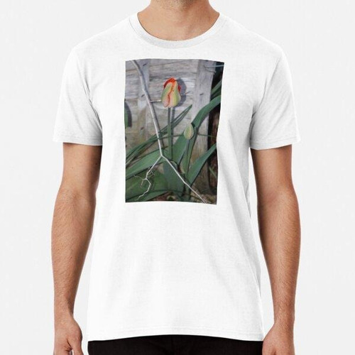 Remera Fondo Cesta Tulipán Tulipán Primavera Naranja País Al