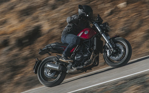 Imagen 15 de 15 de Benelli Leoncino 500