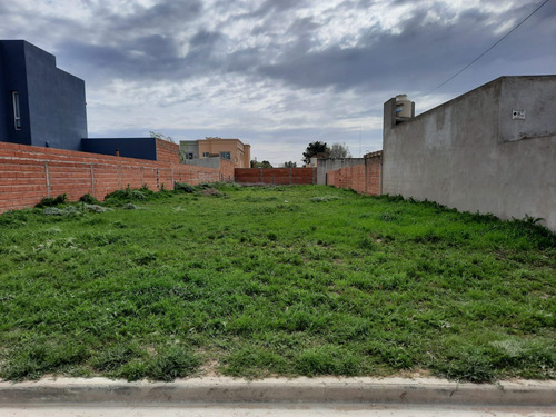 Imagen 1 de 4 de Vendemos Lote De 13x43 En Tres Arroyos En Muy Buena Zona