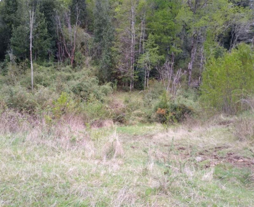 Agrícola Campo O Inmobiliario Loteo En Venta En Panguipulli