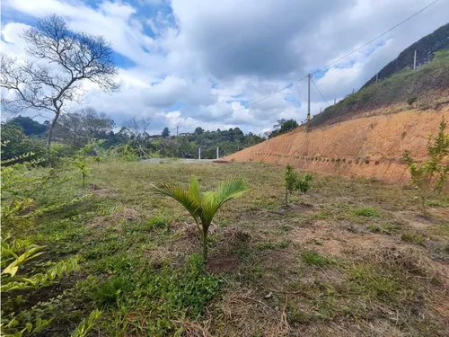 Lote En Rionegro Vereda La Playa