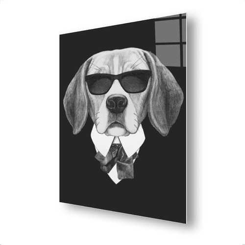 Cuadro Metalico Beagle Lentes Animales  Arte Aluminio 