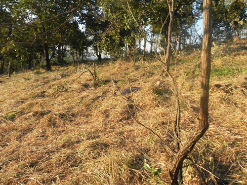 (k.a) Topografia Plana Em Aruja Em Até 48x