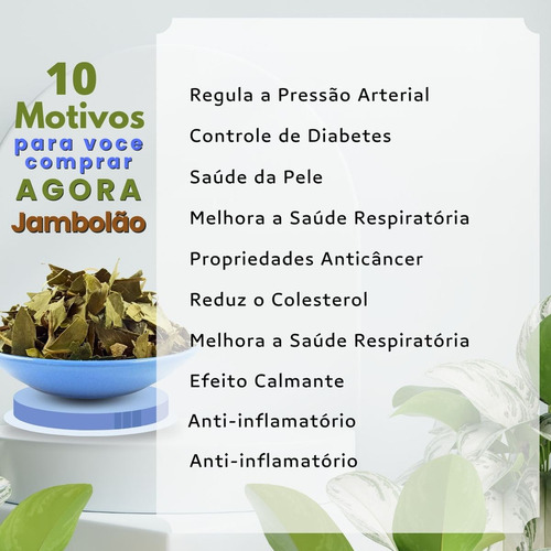 Kit 20chá Jambolão Erva Seca Conhecido Jamelão