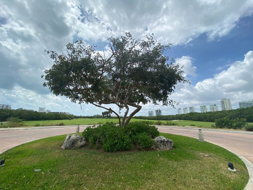 Imagen 1 de 5 de Dos Terrenos En Venta Juntos En Los Canales Puerto Cancun