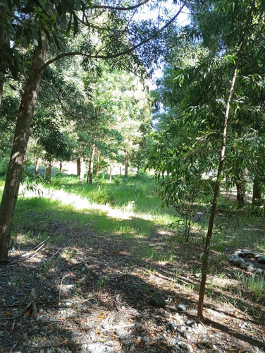 Parcela En Venta En Futrono - Llifen - 1.05 Hectáreas C/rio