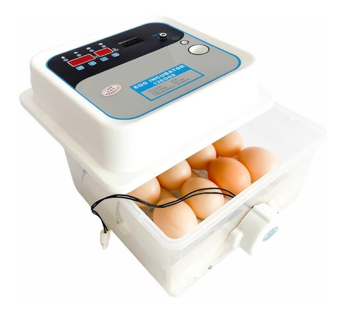 Incubadoras De Huevos Automáticas Desde 12 Hasta 120 Huevos