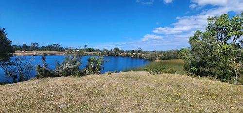 Venta Terreno-sitio  Sector Rulo En Calbuco