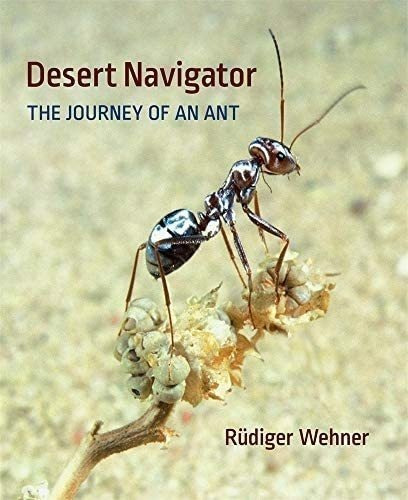 Libro: Desert Navigator: The Journey Of An Ant