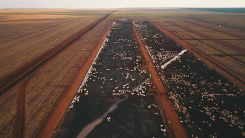 Imagem 1 de 9 de Fazenda À Venda 2 Bilhoes De Reais