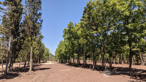 Imagen 6 de 7 de Terreno - Matheu - Lote 75 - Apto Procrear