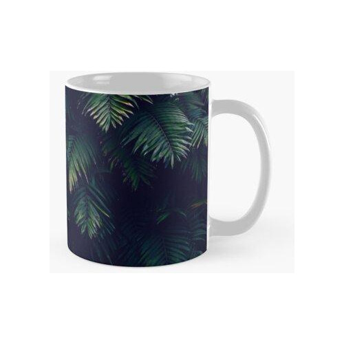 Taza Naturaleza Vida Calidad Premium