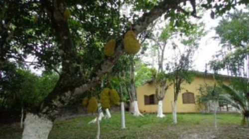 Chácara De 2050 Mts Com 3 Quartos Em Itanhaém - 5529 | Npc