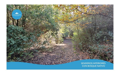 Imagen 7 de 14 de Casa En Venta - Lago Colbún Sector Colbún Alto