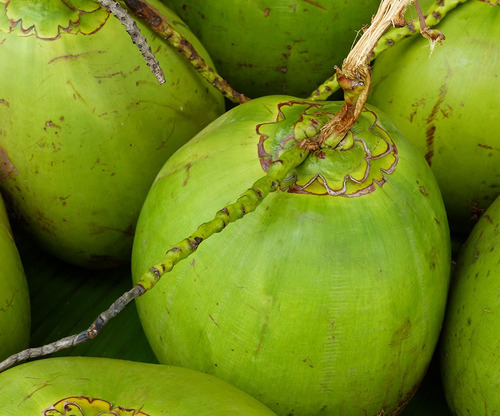 Coco Fresco Sin Cascara