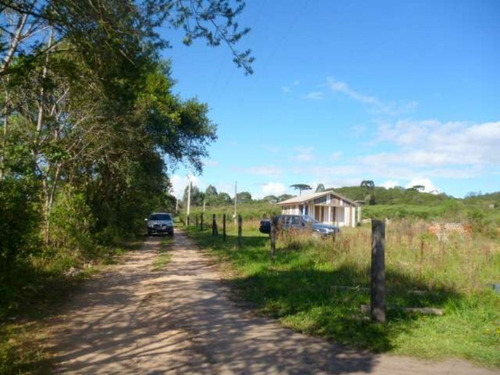 Imagem 13 de 13 de Chácara Em São José Dos Pinhais - 0828 - 3399849