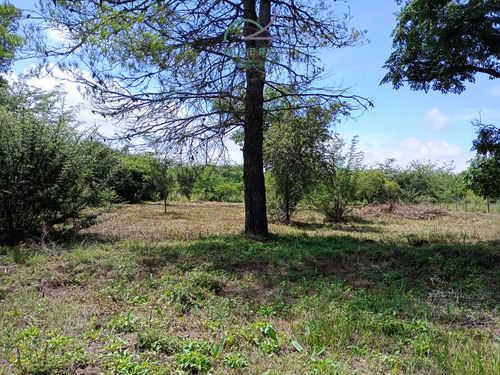 Se Vende Lote En Cordoba