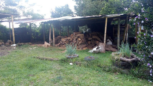 Imagen 5 de 13 de Se Vende Finca En La Vereda La Carmelita Quimbaya