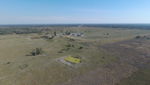 Imagen 5 de 14 de Campo Venta Formosa Agricultura Ganaderia Mixto Mejoras