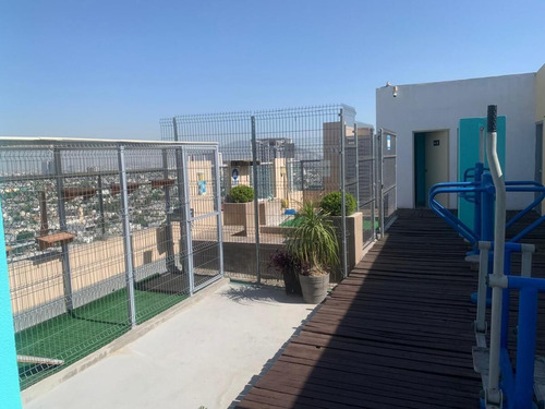 Departamento En Renta En Semillero Matamoros En Monterrey