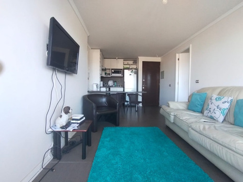 Imagen 8 de 19 de Se Vende Departamento En Curauma.