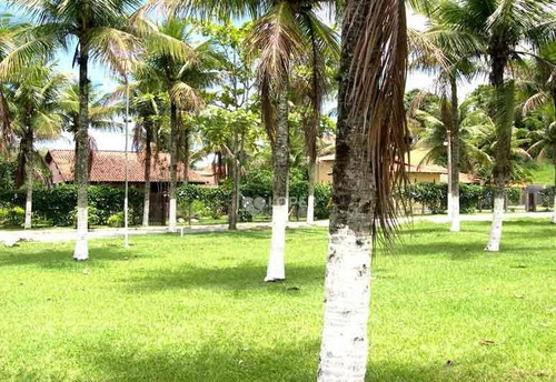 Imagem 9 de 17 de Terreno À Venda, 1001 M² Por R$ 290.000,00 - Piratininga - Niterói/rj - Te2694
