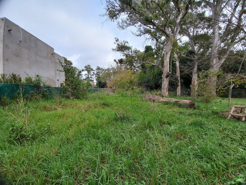 Imagen 5 de 9 de Terreno En Venta. Oportunidad