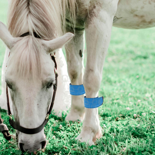 Tobilleras Led Para Caballos, 4 Unidades, Ajustables Para Pi