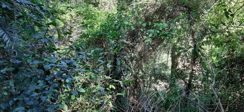 Imagem 2 de 4 de Terreno Em Engenho Do Mato, Niterói/rj De 760m² À Venda Por R$ 320.000,00 - Te1005039-s