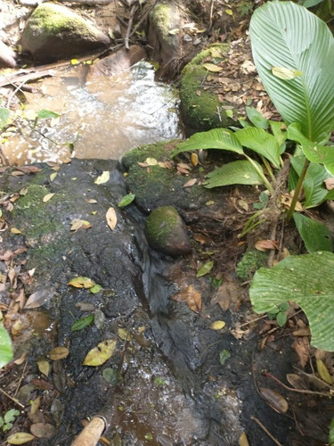 Imagem 2 de 18 de Terreno - 332 - 32959501