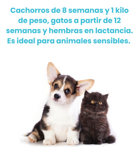 Pipeta Antipulgas Contra Pulgas Y Garrapatas Perro Y Gato