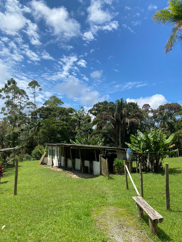 Sitio Com Casa E 30.000 M2 Com Escritura E Documentação Ok