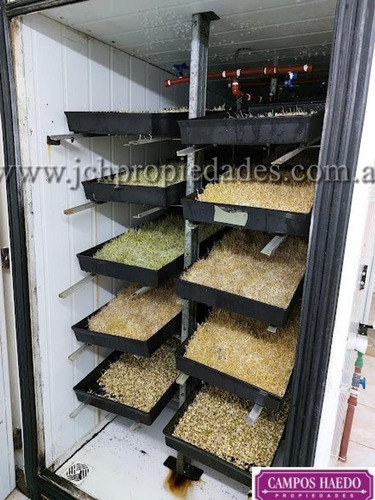 Imagen 4 de 12 de Fondo De Comercio Brotes Y Micro Vegetales Gastronómicos