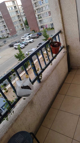Arriendo Departamento (80825)