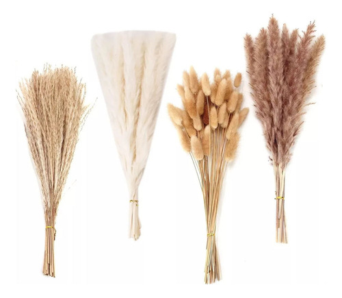 Plumas De Hierba De Pampa, Decoración Seca Natural Con 100 T