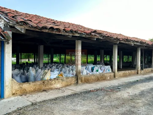 Buga, 23.200 M2, Se Vende Finca Avícola