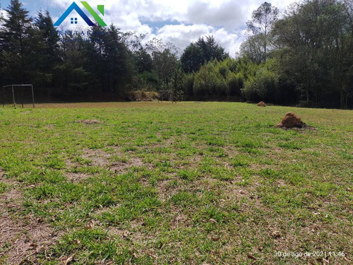 Imagem 27 de 30 de Comprar Chácara Plana, Barracão, Lago, 7.000 M² Chácara Santa Paula, Campo Limpo Paulista Sp - Ch00097 - 70032804