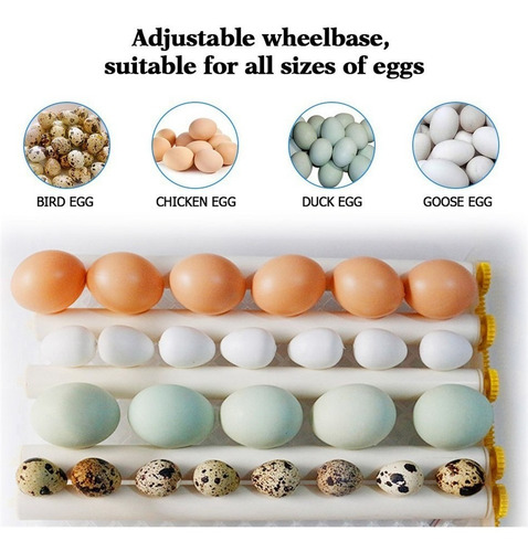 Imagen 7 de 10 de Incubadora De 36 Huevos Automatica 220v Multiproposito