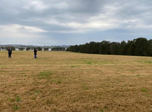 Lote En Laguna De Los Cisnes - Club House - Deportes Náuticos - A 15 Min. De Punta Del Este