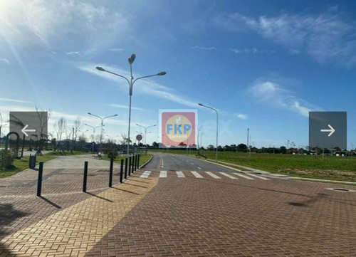 Imagem 5 de 22 de Terreno À Venda No Bairro Campeche - Florianópolis/sc - Ter0028