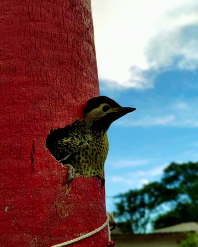 Alquiler De Cabañas En La Paz Entre Rios