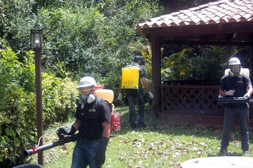 Imagen 4 de 5 de Empresa De Fumigaciones En Caracas Somos La N°1