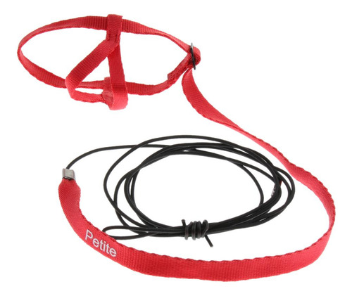 Arnés Ajustable Cuerda Entrenamiento Accesorios De Animales
