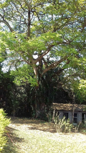 Imagem 15 de 15 de Linda Chácara - 577