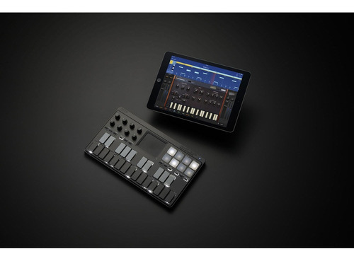Teclado Midi Korg 25 Teclas Producción Musical -negro