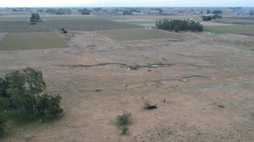 Imagen 2 de 8 de Campo Agrícola De 16 Hás A 60min De Montevideo En Tala (canelones)