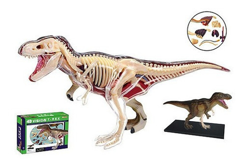 Modelo Anatómico De Dinosaurio T-rex- Fame Master 26092