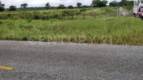 Rancho Agrícola Y Ganadero En Champotón Campeche. 50 Hectareas De Pastizales.