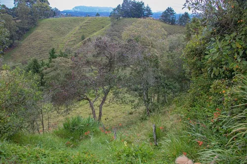 Casa Finca En Guarne 9.000 M2